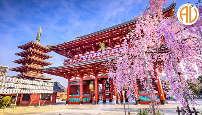 بررسی هزینه سفر به ژاپن